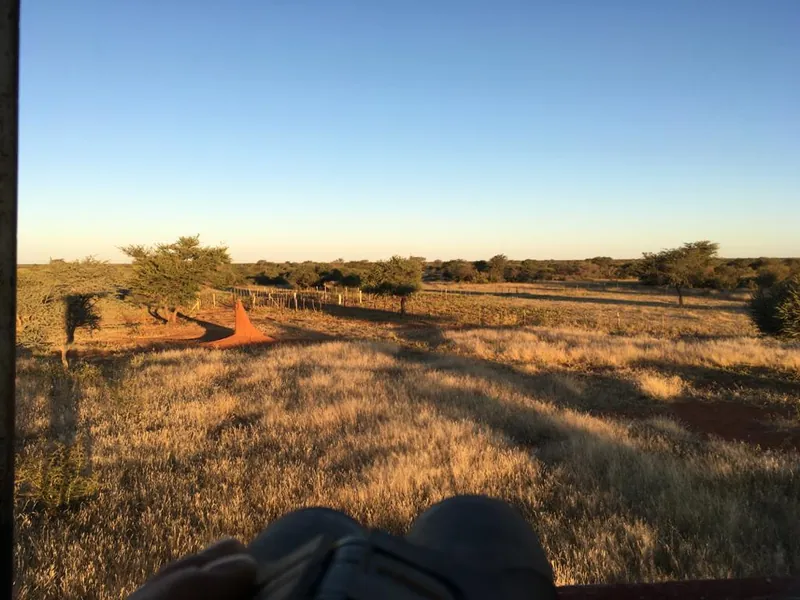 Hunter in elevated hide